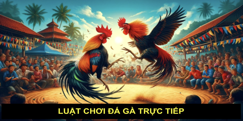 luat-choi-da-ga-truc-tiep