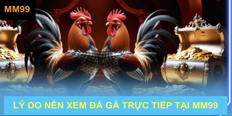 ly-do-nen-xem-tai-mm99