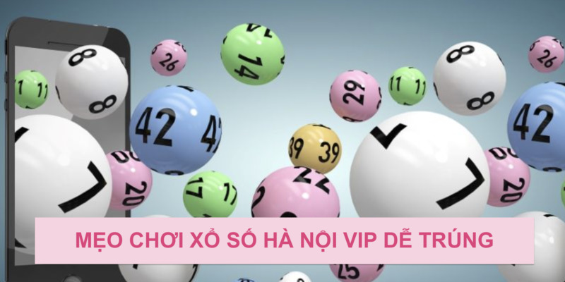 meo-choi-ha-noi-vip