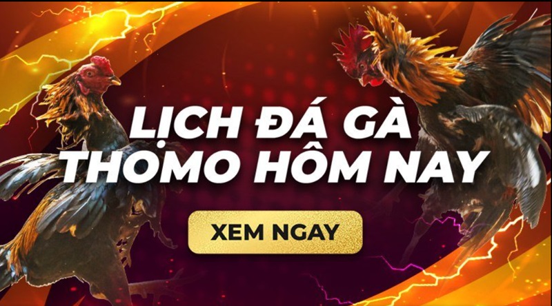cac-the-loai-ca-cuoc-da-ga-truc-tiep-noi-bat