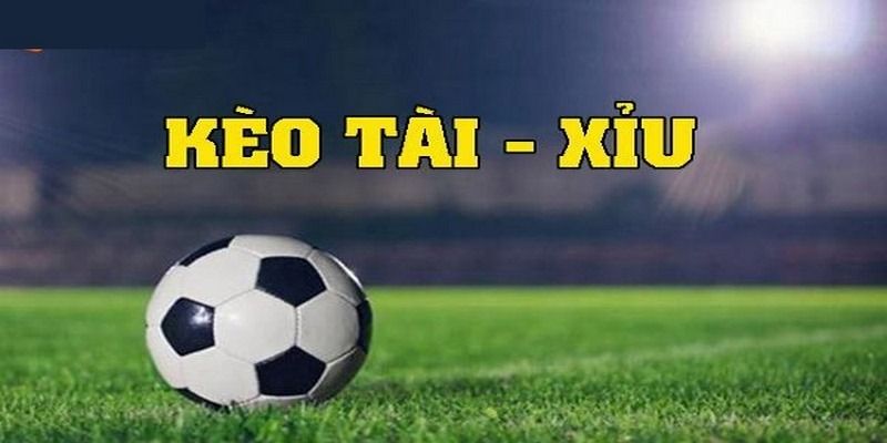 cach-doc-keo-tai-xiu-doi-voi-tung-ty-le-cuoc