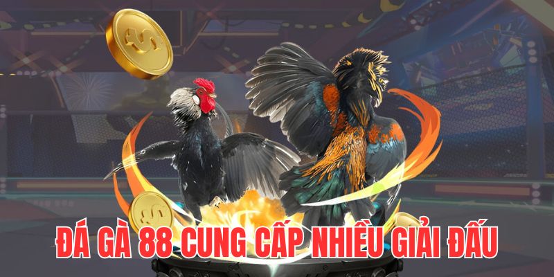 da-ga-88-cap-nhat-nhanh-da-dang-giai-dau