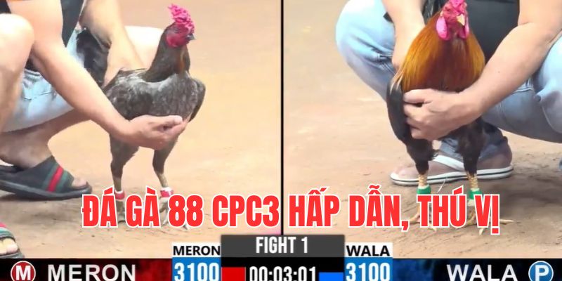 da-ga-88-cpc3-hap-dan-thu-vi