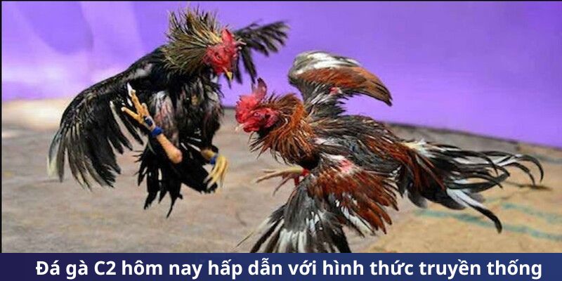 da-ga-c2-hom-nayhap-dan-voi-hinh-thuc-truyen-thong