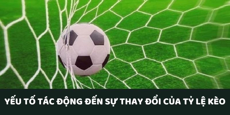 ty-le-keo-bong-da-bien-dong
