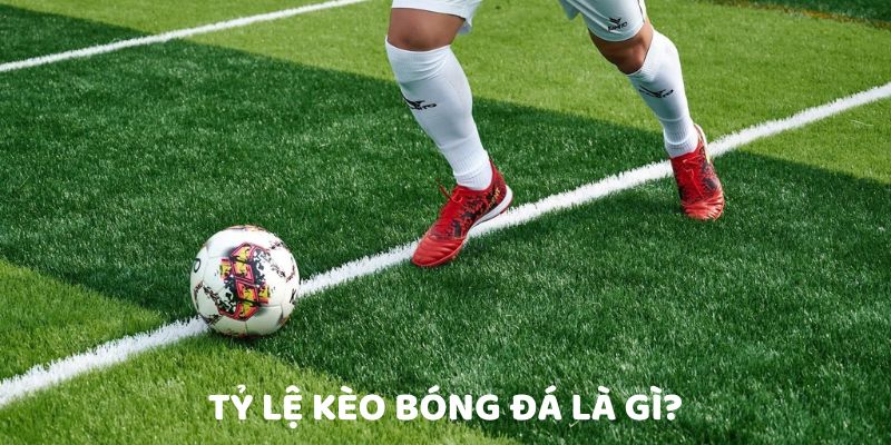ty-le-keo-bong-da-la-gi