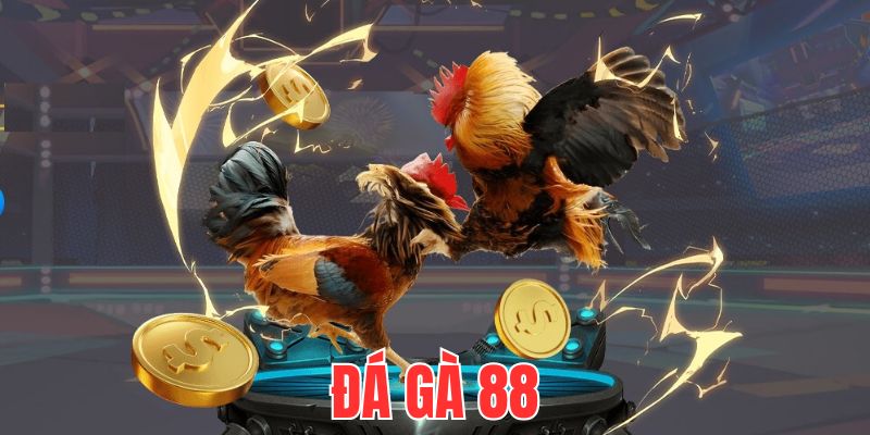 vai-net-co-ban-ve-da-ga-88