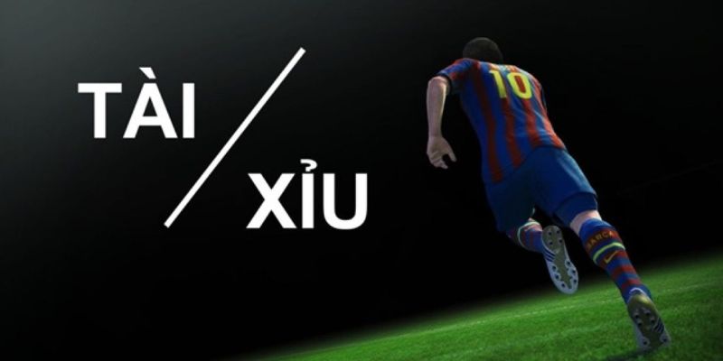 vai-thong-tin-so-luoc-ve-keo-tai-xiu