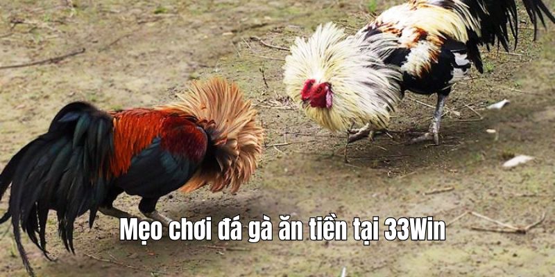 da-ga-an-tien-chien-thuat