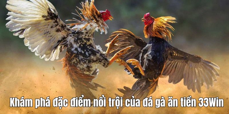 da-ga-an-tien-dac-diem