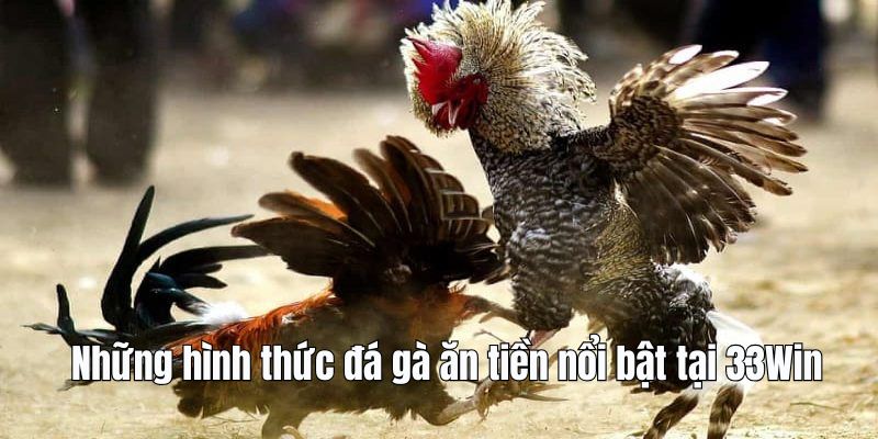 da-ga-an-tien-hinh-thuc