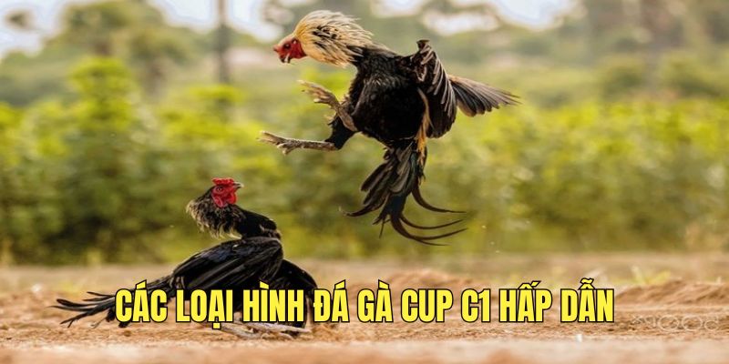 cac-loai-hinh-dau-ke-cup-c1-hap-dan-hien-nay