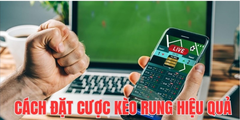 cach-dat-cuoc-keo-rung-hieu-qua