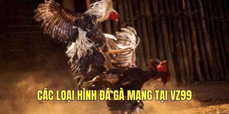 kham-pha-nhung-loai-hinh-da-ga-online-tai-nen-tang-