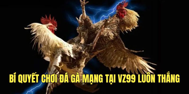 meo-choi-da-ga-truc-tuyen-tai-nha-cai-luon-thang