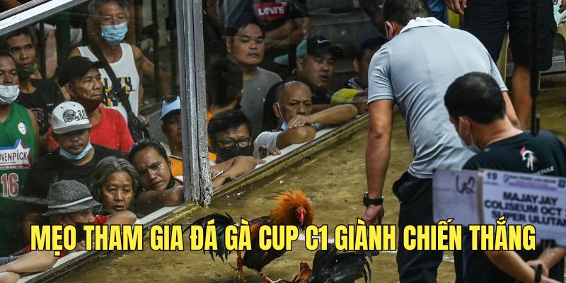 nam-chac-meo-tham-gia-dau-ke-cup-c1-de-gianh-chien-thang