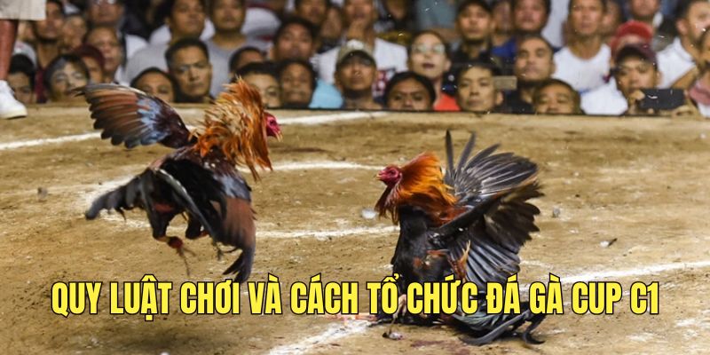nam-ro-luat-choi-va-cach-to-chuc-giai-dau-cup-c1-de-gianh-loi-the