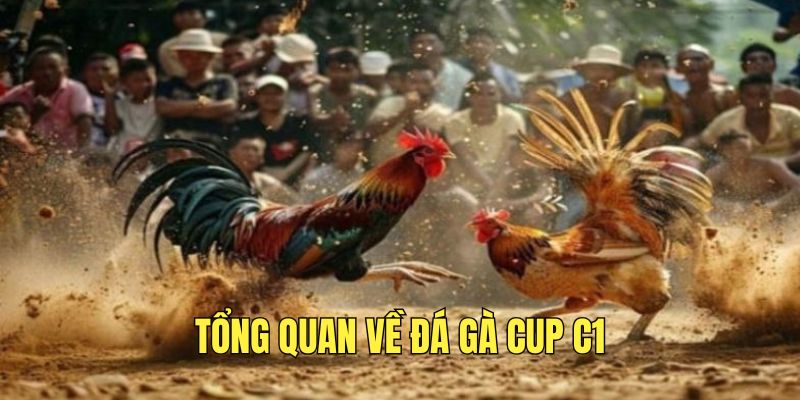 tim-hieu-ve-giai-dau-da-ga-cup-c1-hap-dan