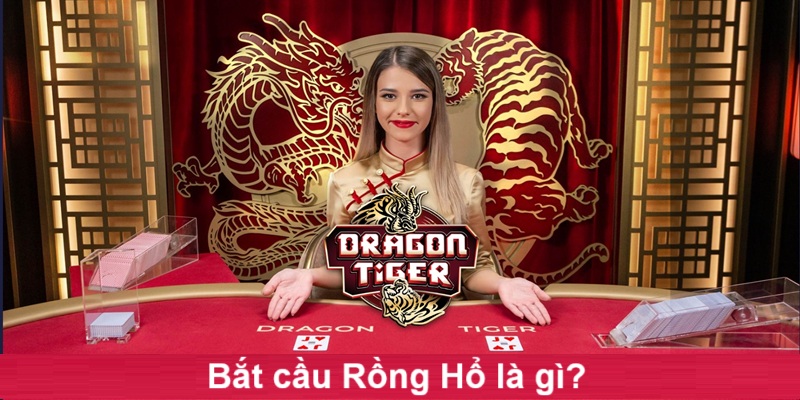 cach-bat-cau-rong-ho-au88