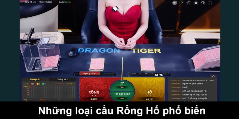 cach-bat-cau-rong-ho-loai-cau-pho-bien-au88