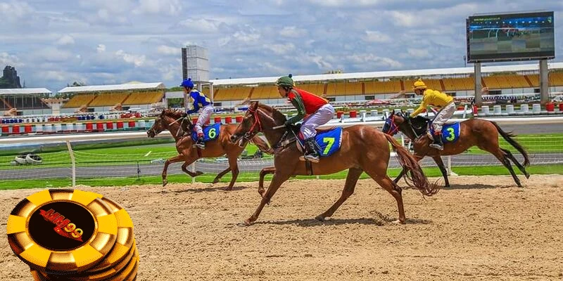 luat-choi dua-ngua-co-ban