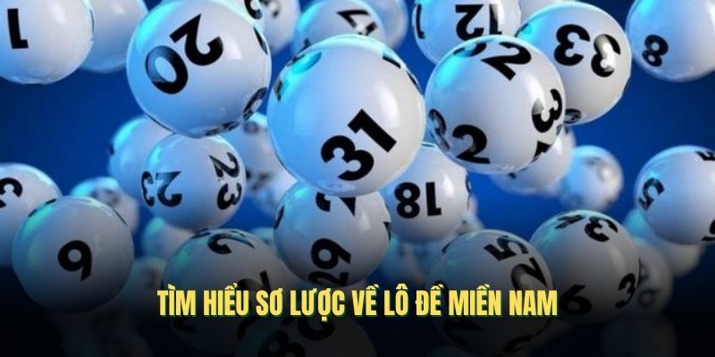 so-luoc-ve-lo-de-mien-nam