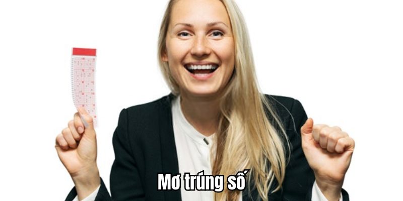 tim-hieu-ve-chem-bao-trung-so-cung-69vn