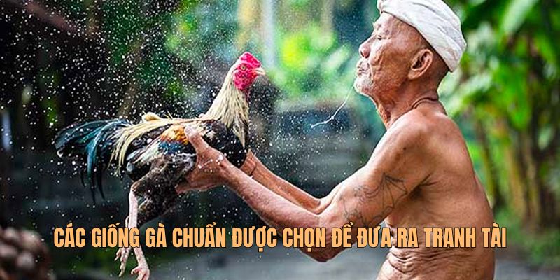 giong-ga-da-viet-nam